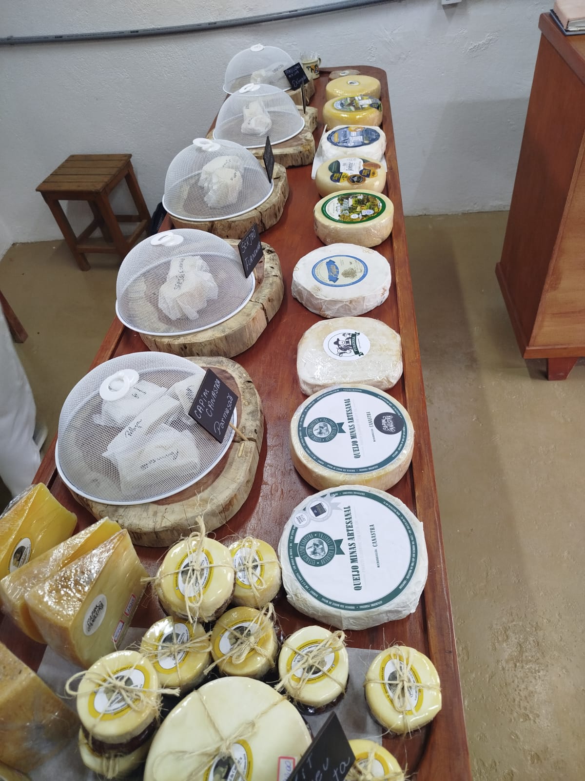 Degustação de queijos Degustação de queijos